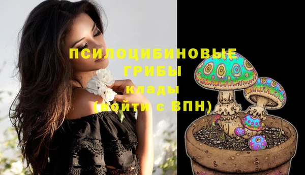 кокаин Ельня