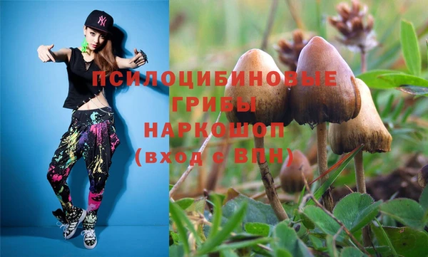 каннабис Дмитровск