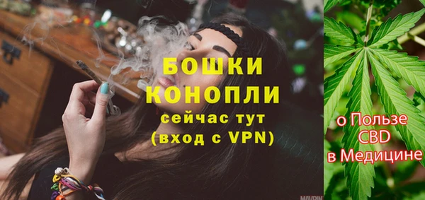 Альфа ПВП Гусь-Хрустальный