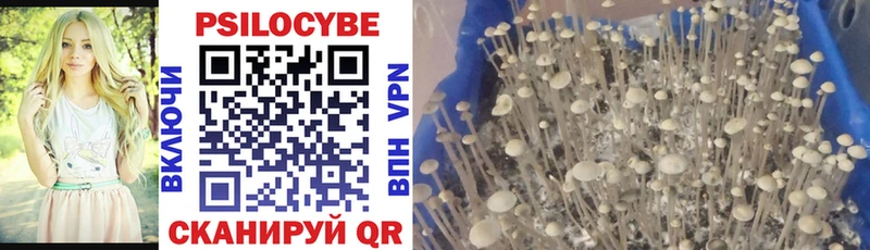 blacksprut ссылка  Курлово  Галлюциногенные грибы Psilocybine cubensis  продажа наркотиков 