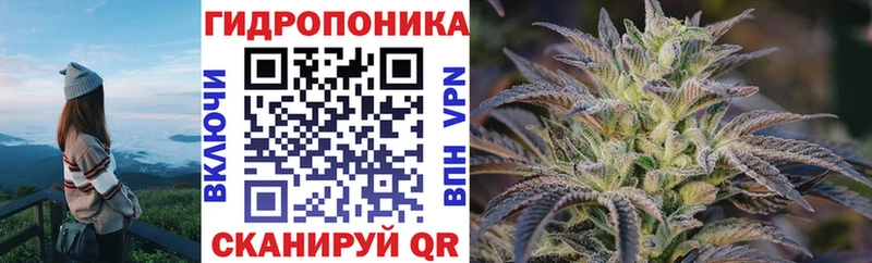Каннабис Ganja  Курлово 